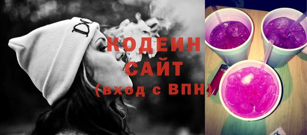 спиды Горняк