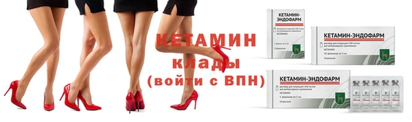 СК Горно-Алтайск