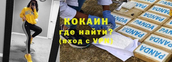 спиды Горняк