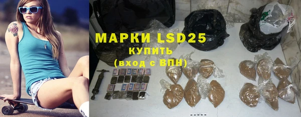 спиды Горняк